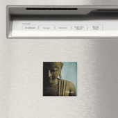 平和・磁石 マグネット (インサイチュ (食洗機))