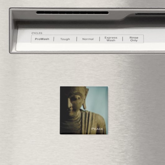 平和・磁石 マグネット (インサイチュ (食洗機))