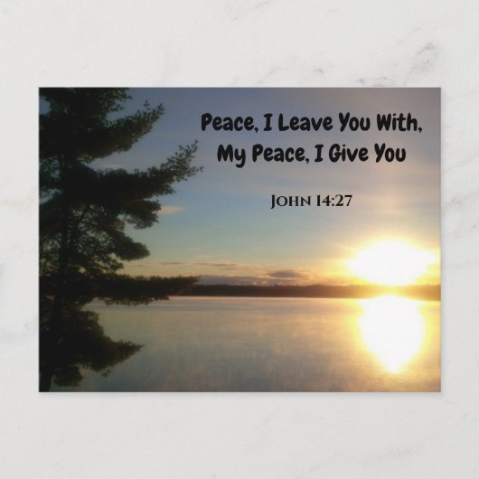 平和、聖書離れの文字聖書 ポストカード (正面)