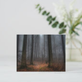 平屋建家屋山への霧深い道 ポストカード (スタンド正面)