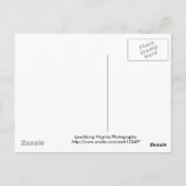 平屋建家屋山への霧深い道 ポストカード (裏面)