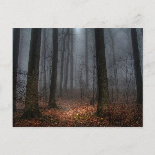 平屋建家屋山への霧深い道 ポストカード (正面)