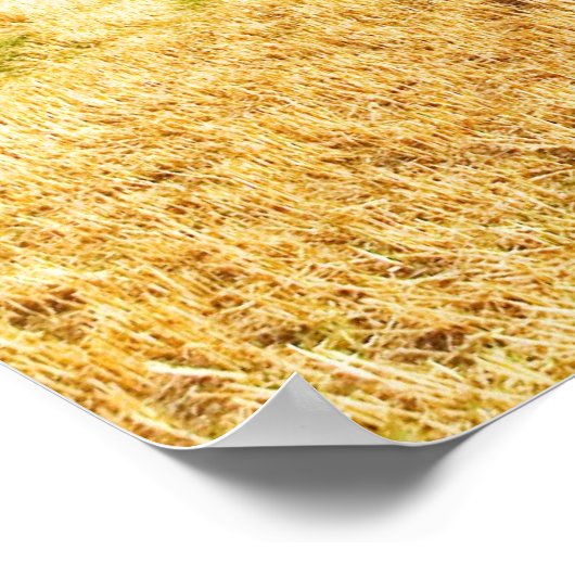 平方ヘイ俵 ポスター (角)