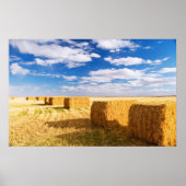 平方ヘイ俵 ポスター (正面)