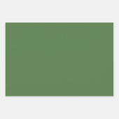 平海アップルフェーングリーンシェード3トーン ラッピングペーパーシート (正面3)