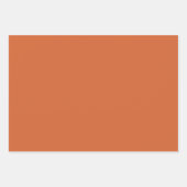 平無地の収穫カボチャ ラッピングペーパーシート (正面2)