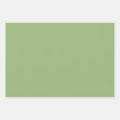 平無地の養緑 ラッピングペーパーシート (正面3)