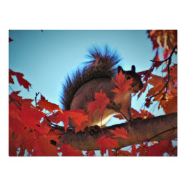 平然の姿に隠れて フォトプリント           