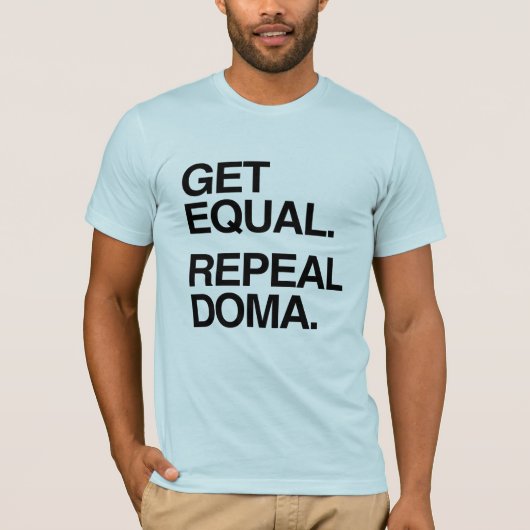 平等な改正DOMAを求める -.png Tシャツ (正面)