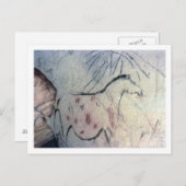 平行な線マルキを持つ妊娠している雌馬の姿 ポストカード (正面/裏面)