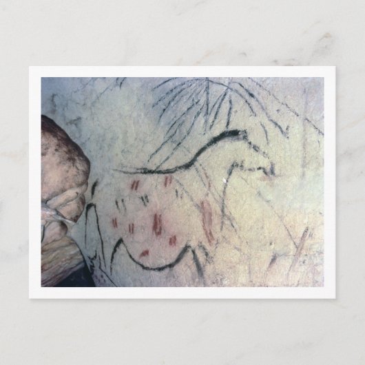 平行な線マルキを持つ妊娠している雌馬の姿 ポストカード (正面)