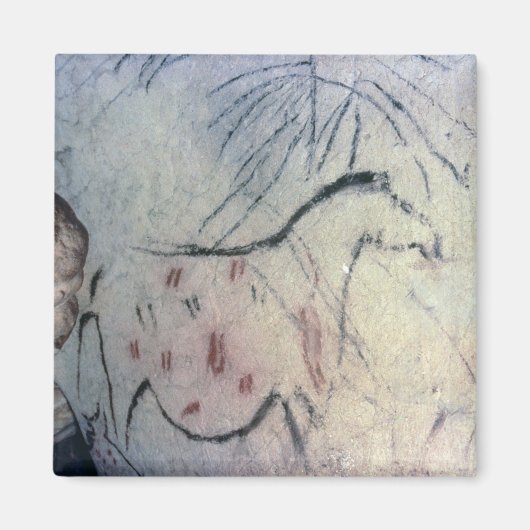 平行な線マルキを持つ妊娠している雌馬の姿 マグネット (正面)