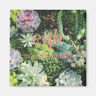 平衡磁石 マグネット