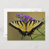 平衡 ポストカード (正面/裏面)