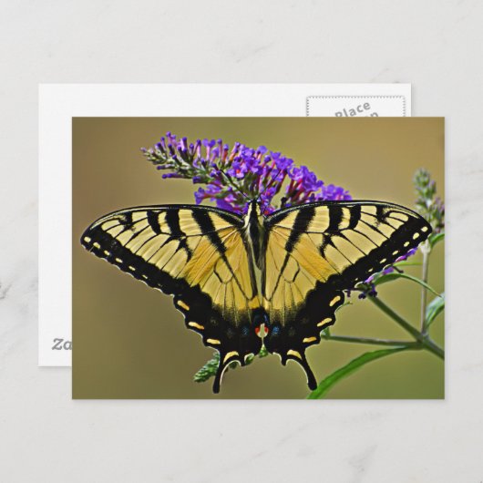 平衡 ポストカード (正面/裏面)