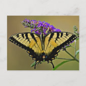 平衡 ポストカード (正面)