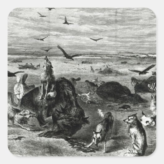 平野でのバッファローの虐殺 スクエアシール (正面)