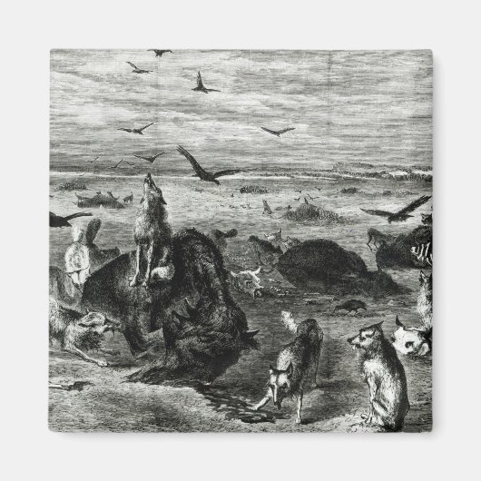 平野でのバッファローの虐殺 マグネット (正面)