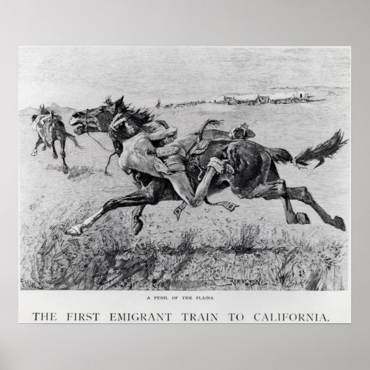 平野の危険 ポスター (正面)