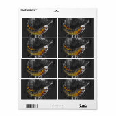 平野 ラベル (フルシート)