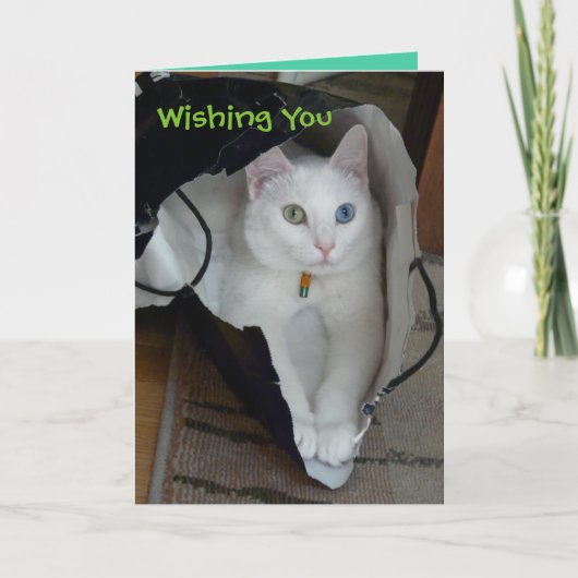 平静によって袋に入れられる休日カード シーズンカード (正面)