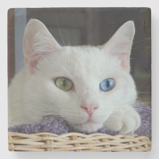 平静のクローズアップの大理石のコースター#2 ストーンコースター (正面)