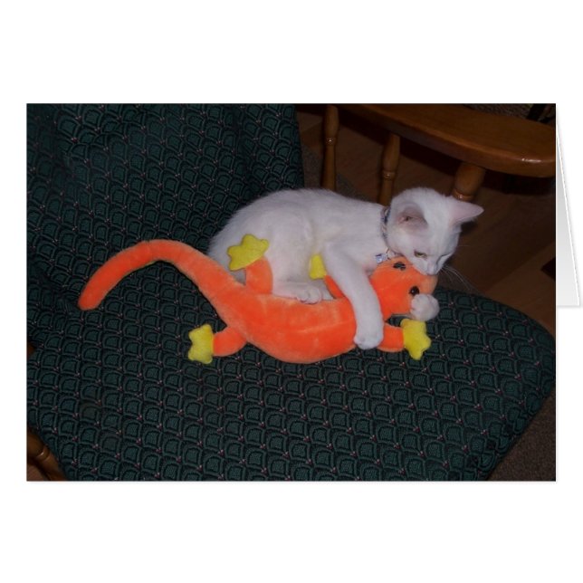 平静はトカゲカードに取り組みます (正面横)