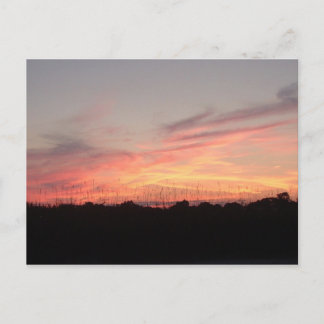 平静シリーズ郵便はがき夜 ポストカード