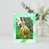 平静 ポストカード (スタンド正面)