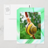 平静 ポストカード (正面/裏面)