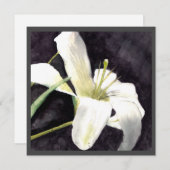 平面カード5.25x5.25 シーズンカード (正面/裏面)