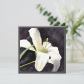 平面カード5.25x5.25 シーズンカード (スタンド正面)