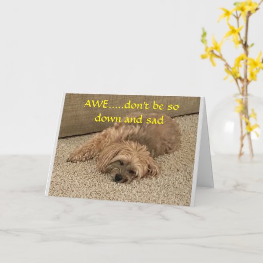 **年を取ることを悲しまないで** カード (黄色い花)