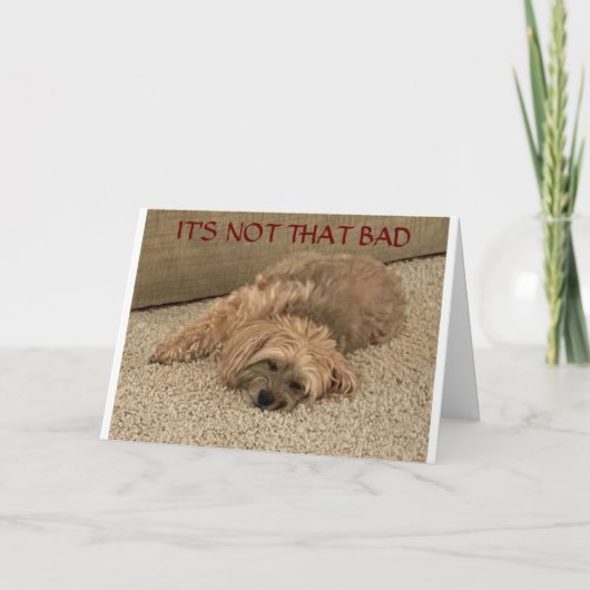 **年を取るのが悪くない** カード (正面)