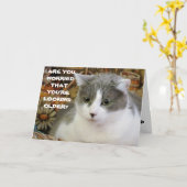 年を取る君は百日以上も見えぬ カード (黄色い花)