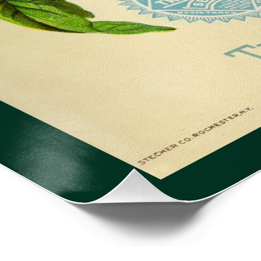 年シード ポスター (コーナー)