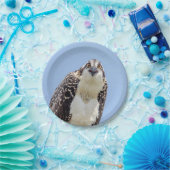 年少のミサゴのクローズアップ ペーパープレート (パーティー)