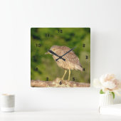 年少の黒によって戴冠させる夜鷲 スクエア壁時計 (ホーム)