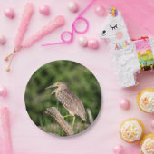 年少の黒によって戴冠させる夜鷲 ペーパープレート (パーティー)