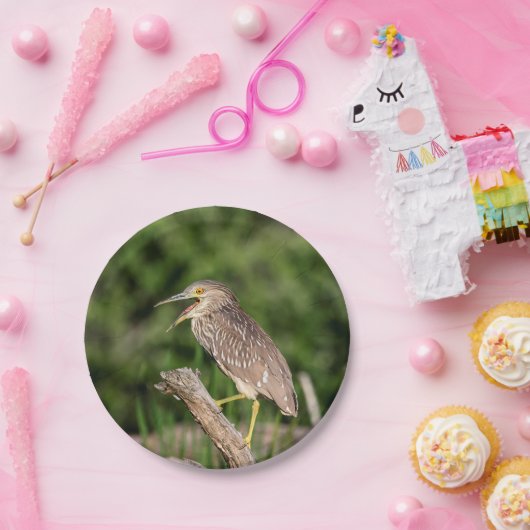 年少の黒によって戴冠させる夜鷲 ペーパープレート (パーティー)