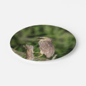 年少の黒によって戴冠させる夜鷲 ペーパープレート (アングル)