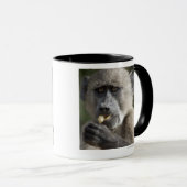 年少のChacmaヒヒ(Papioのursinus)はナットを食べます マグカップ (正面右)