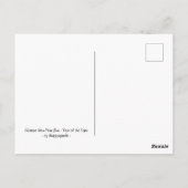 年明中国のけバス – Year of the Tigerポストカード ポストカード (裏面)