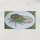 年次Cicada名刺 名刺 (裏面)