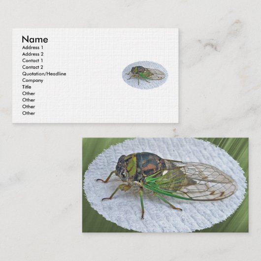 年次Cicada名刺 名刺 (正面/裏面)