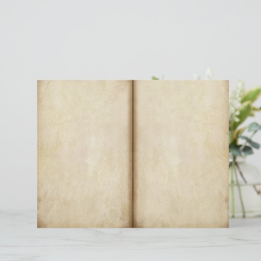 年老いた支払い仕訳帳ページスクラップブック紙 (スタンド正面)