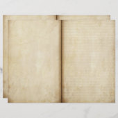 年老いた羊皮紙ジャーナルページスクラップブック紙 (正面/裏面)