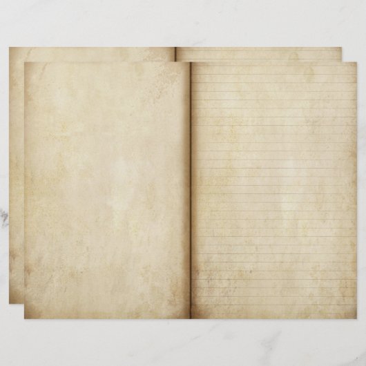 年老いた羊皮紙ジャーナルページスクラップブック紙 (正面/裏面)
