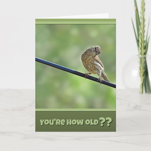 年老いた鳥のためのキュートな誕生日カード カード (正面)