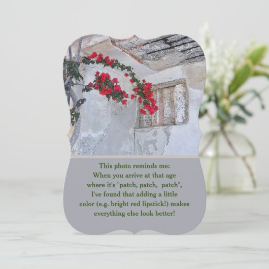 年老いた/赤い花/古い建物 (スタンド正面)